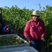 Harvest is underway, Sept. 13